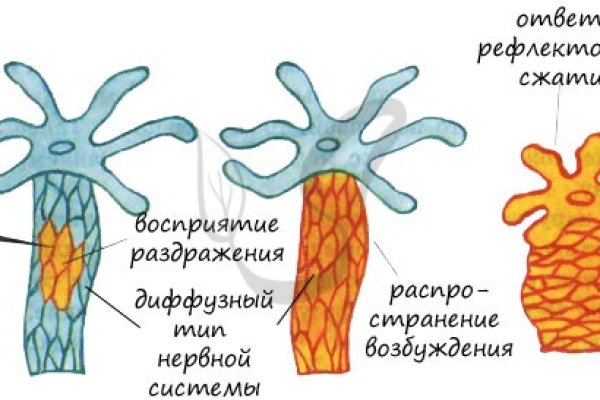 Сайт блэкспрут на торе