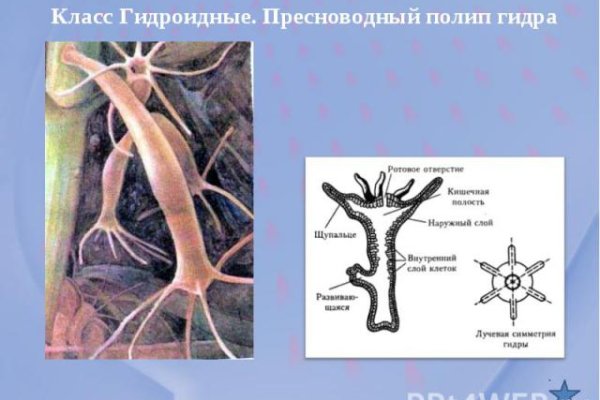 Кракен даркнет сайт ссылка