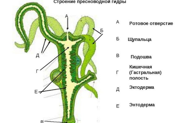 Кракен адрес