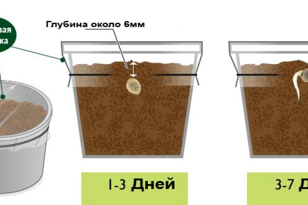 Кракен ссылка v5tor cfd